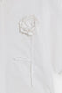 TOP (E0008/120/001)