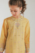EMBROIDERED SUIT (E0202/415/114)