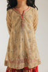 EMBROIDERED SUIT (E0223/415/119)