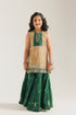 EMBROIDERED SUIT (E0227/415/007)