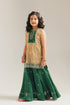 EMBROIDERED SUIT (E0227/415/007)