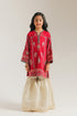EMBROIDERED SUIT (E0228/415/416)
