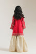 EMBROIDERED SUIT (E0228/415/416)