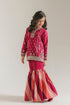 EMBROIDERED SUIT (E0312/415/410 E0312/315/410)