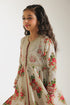 EMBROIDERED PISHWAS (E0664/404/004)