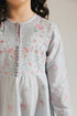 EMBROIDERED PISHWAS (E0697/404/617)