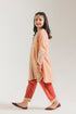EMBROIDERED SUIT (E0918/404/215 E0918/304/215)