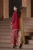 EMBROIDERED SUIT (E1038/104/403)