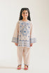 EMBROIDERED SUIT (E1053/402/329)