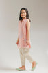 EMBROIDERED SUIT (E1591/402/424 E1591/302/424)