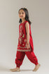 EMBROIDERED SUIT (E1594/402/416 E1594/302/416)