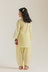 EMBROIDERED SUIT (E1607/402/109 E1607/302/109)