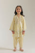 EMBROIDERED SUIT (E1625/402/115 E1625/302/115)