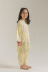 EMBROIDERED SUIT (E1625/402/115 E1625/302/115)