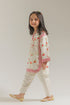 EMBROIDERED SUIT (E1629/402/004 E1629/302/004)
